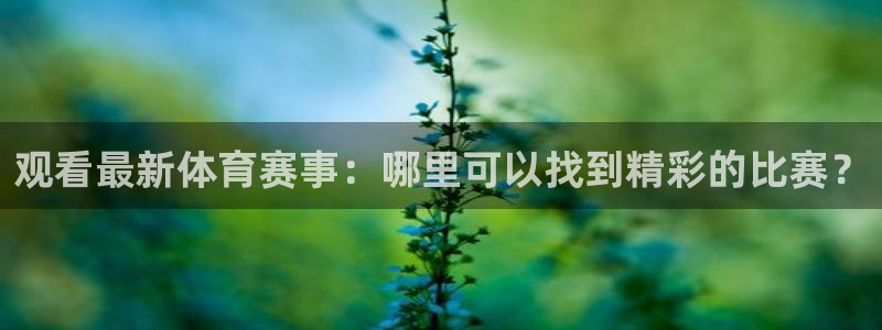 新闻图片
