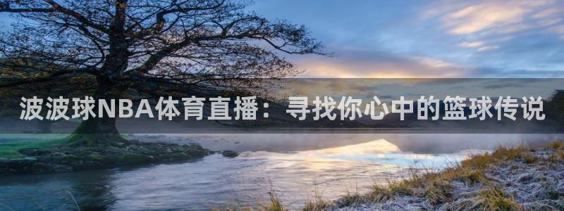 波波球NBA体育直播：寻找你心中的篮球传说