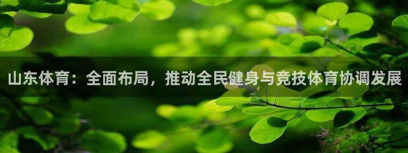 山东体育：全面布局，推动全民健身与竞技体育协调发展