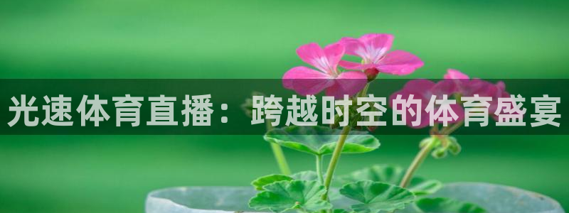 光速体育直播：跨越时空的体育盛宴