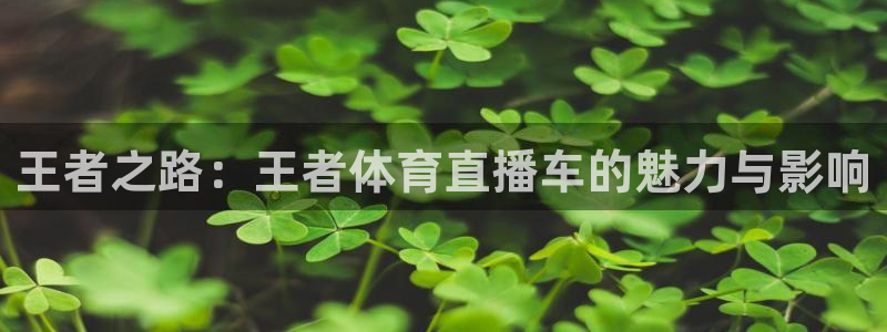 王者之路：王者体育直播车的魅力与影响