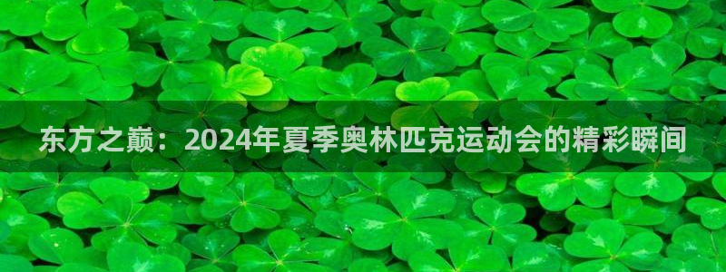 东方之巅：2024年夏季奥林匹克运动会的精彩瞬间