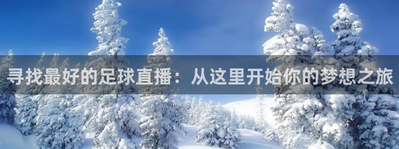 寻找最好的足球直播：从这里开始你的梦想之旅